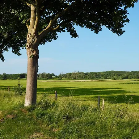 Bunte Wiese Lägenhet