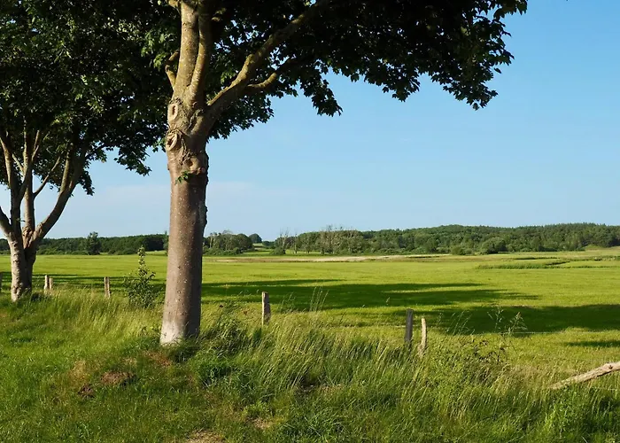 Bunte Wiese Lejlighed